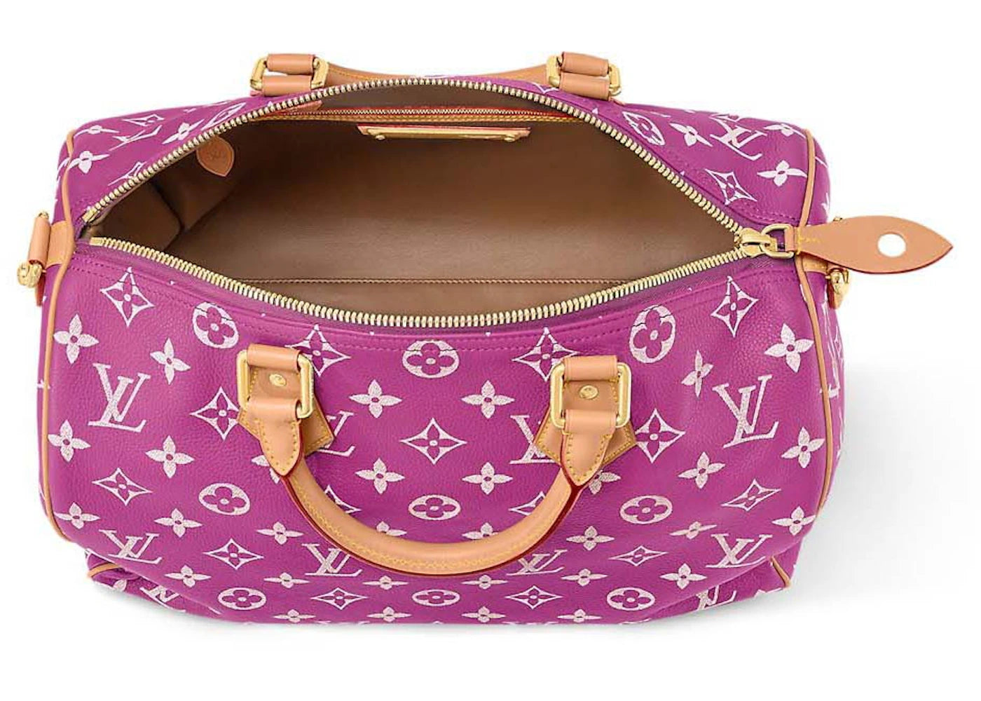 Alt text for the image.