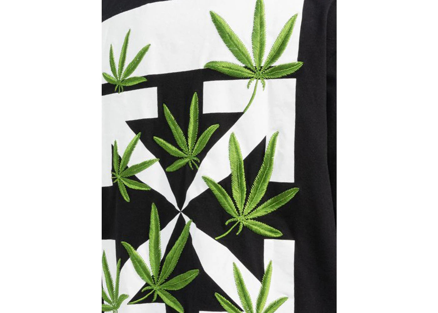 Alt text for the image.