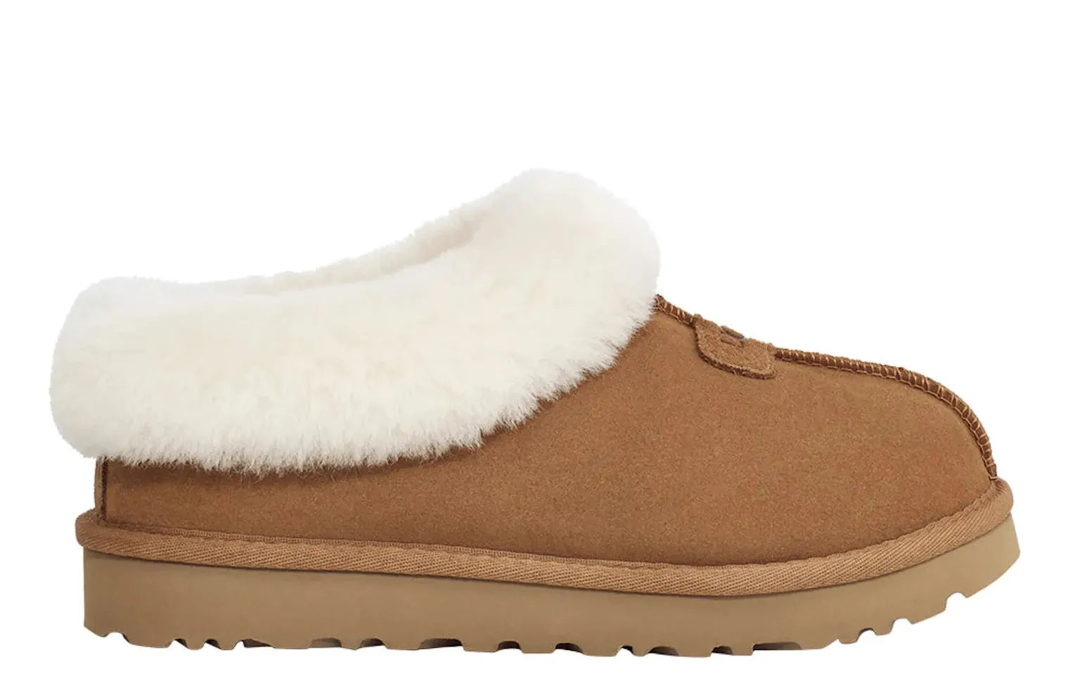 Alt text for the image.