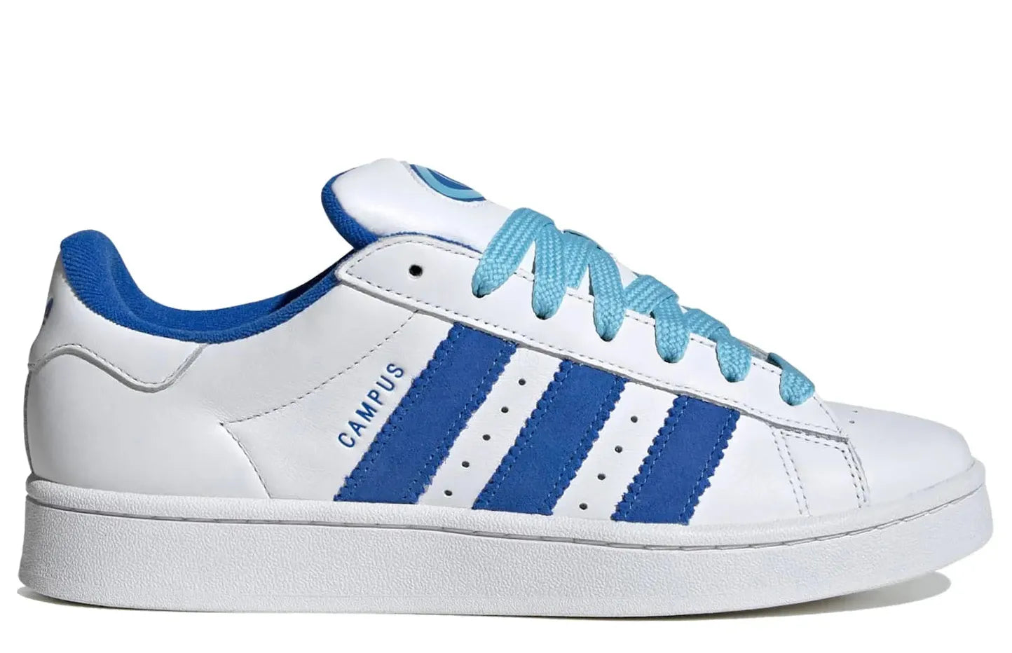 Alt text for the image.