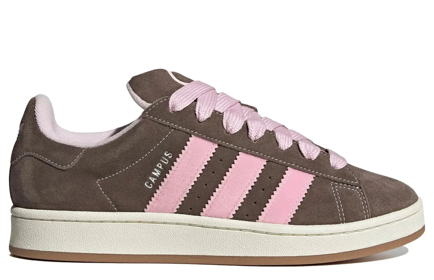 Alt text for the image.