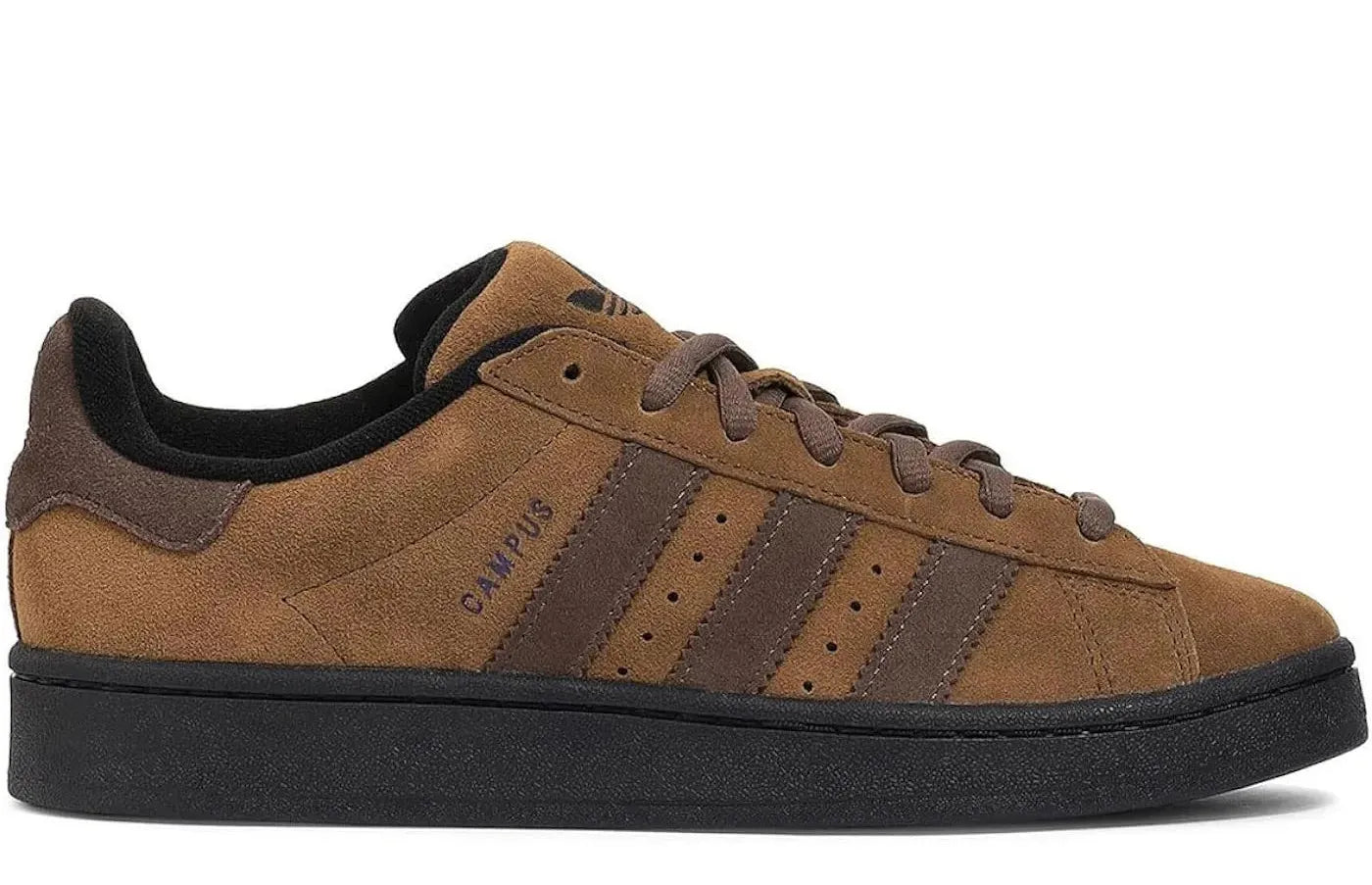 Alt text for the image.