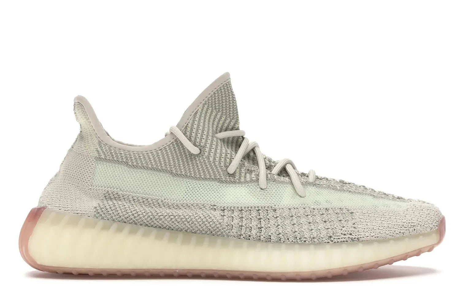 Alt text for the image.