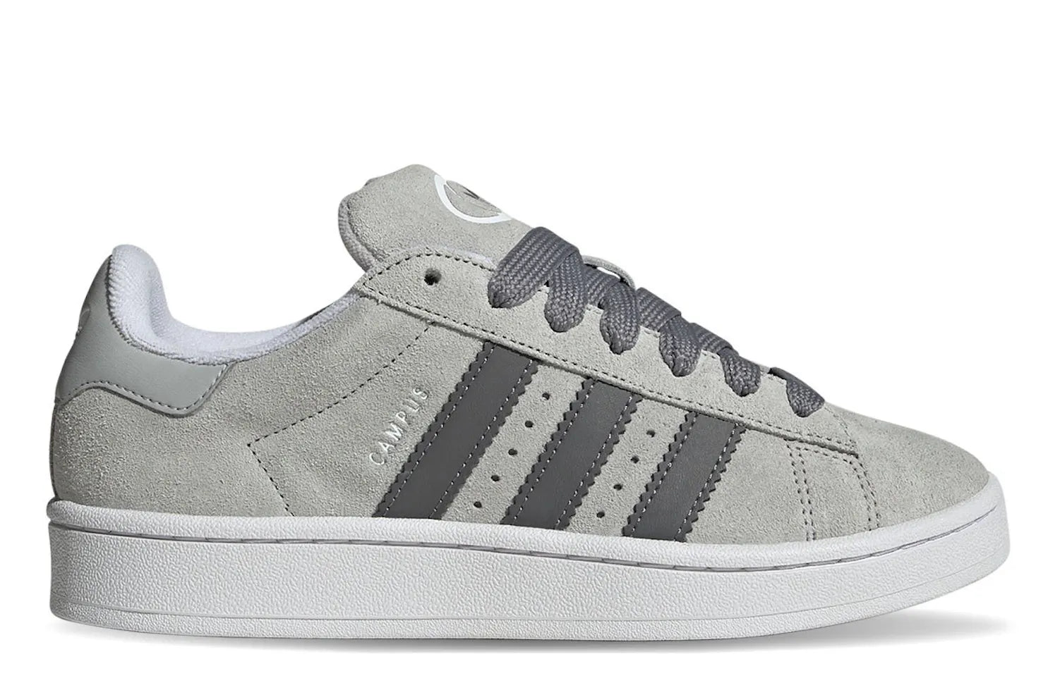 Alt text for the image.