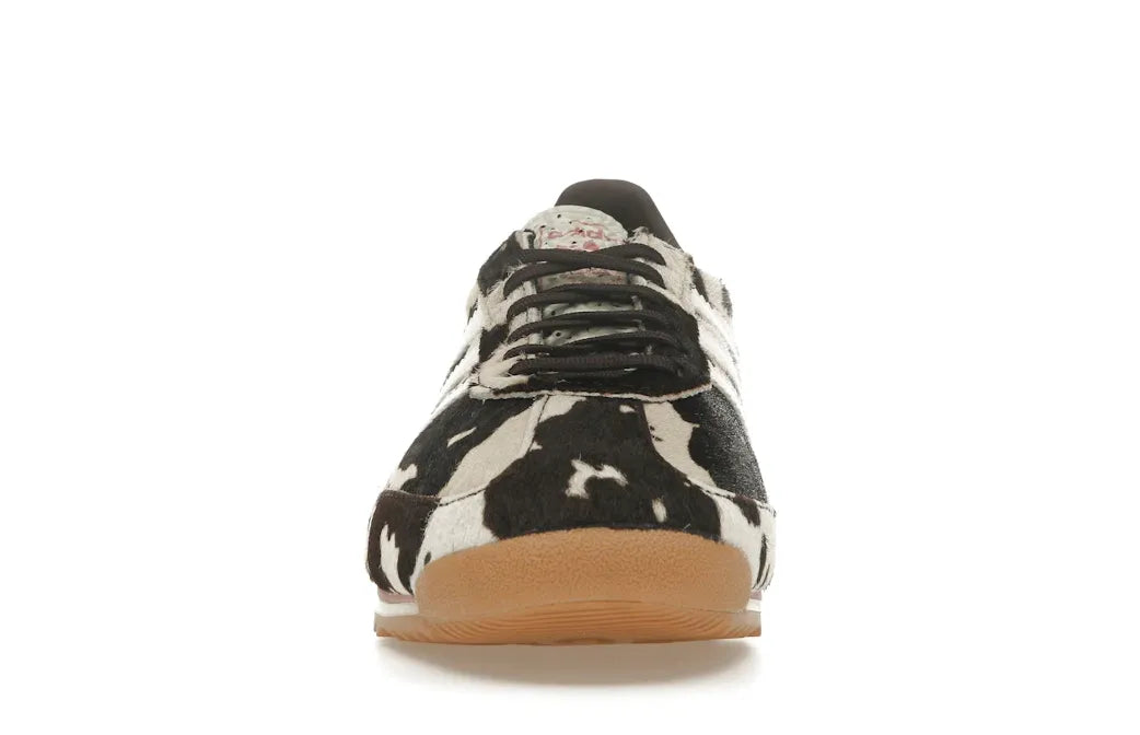 Alt text for the image.