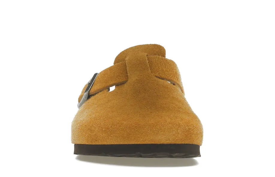 Alt text for the image.