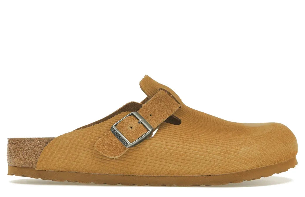 Alt text for the image.