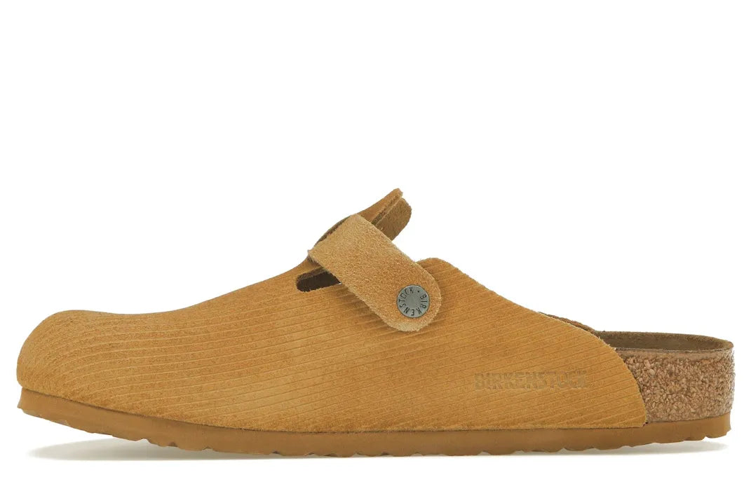 Alt text for the image.