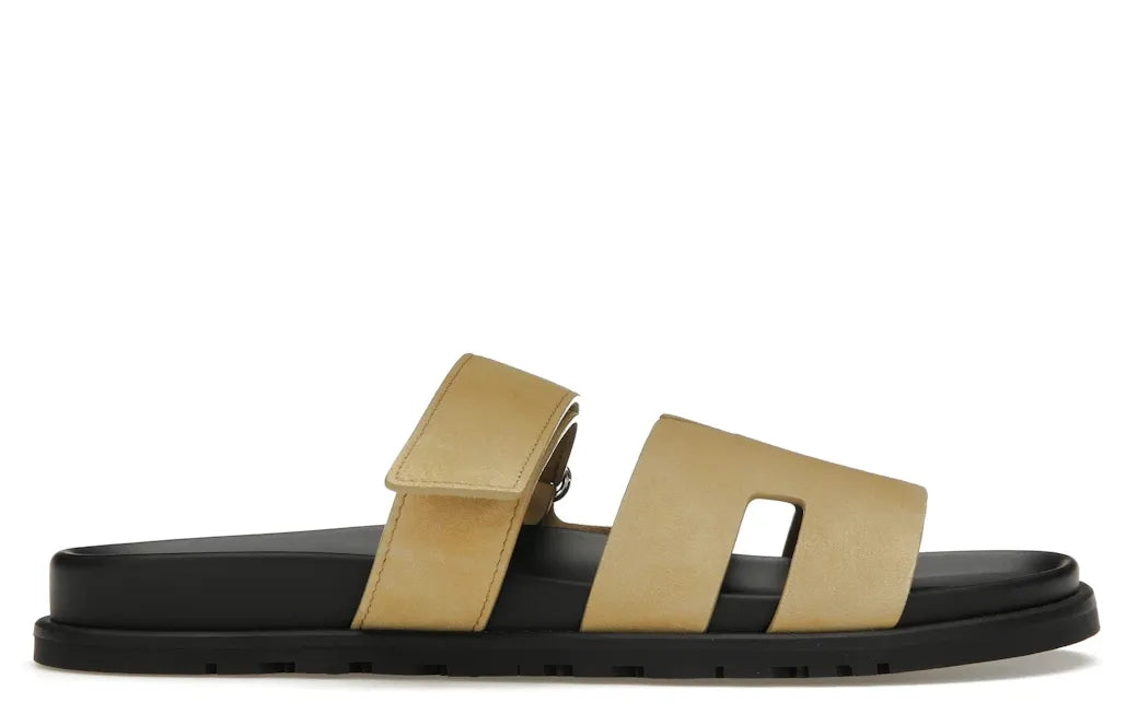 Alt text for the image.