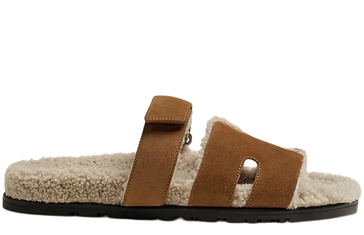 Alt text for the image.