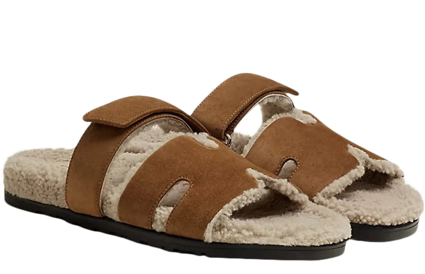 Alt text for the image.