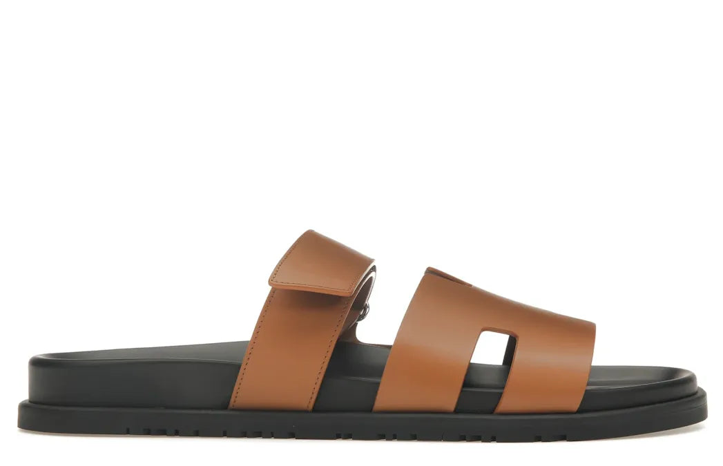 Alt text for the image.