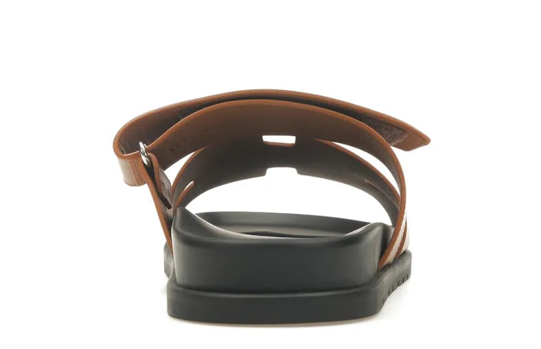 Alt text for the image.