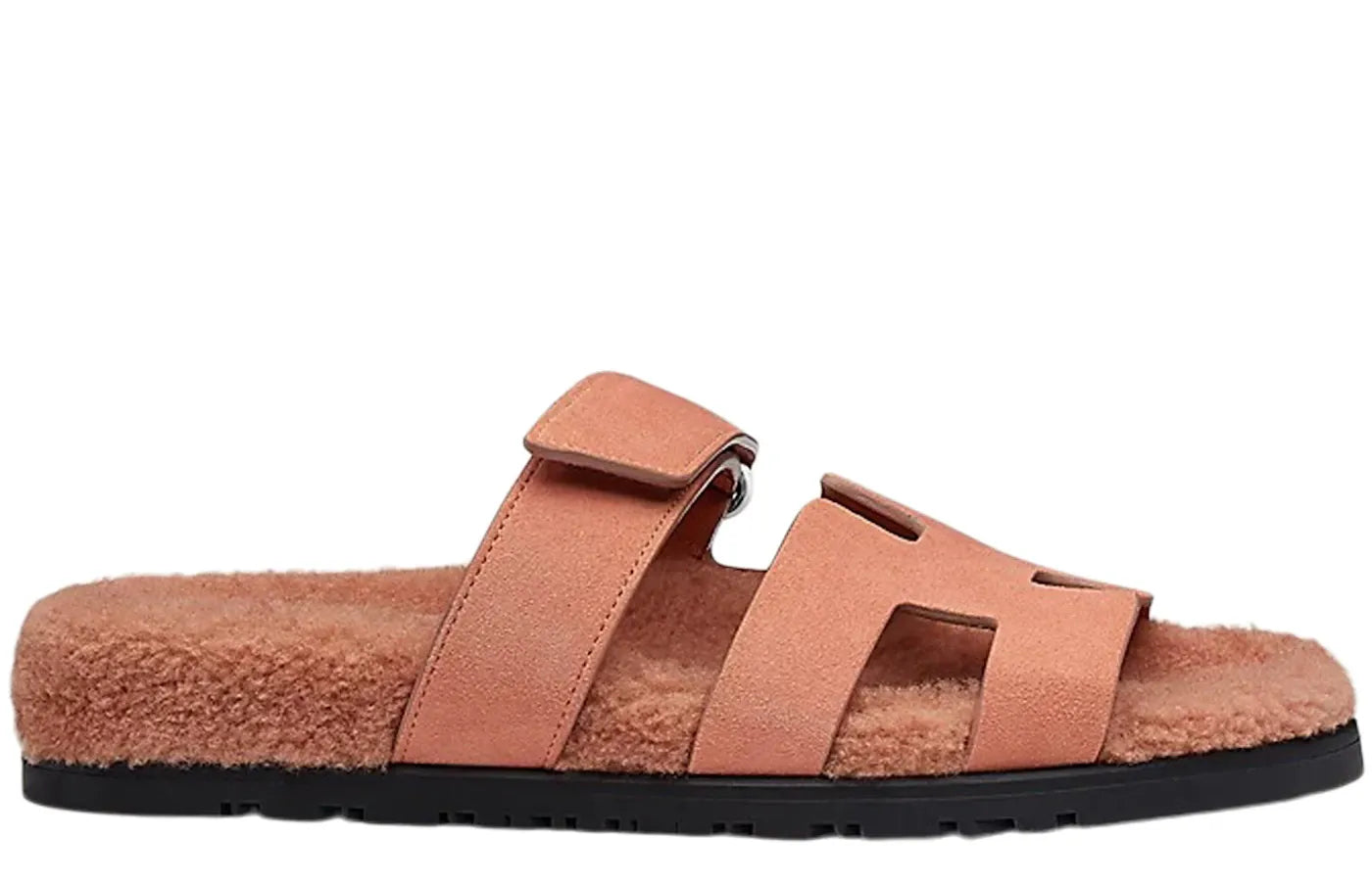 Alt text for the image.