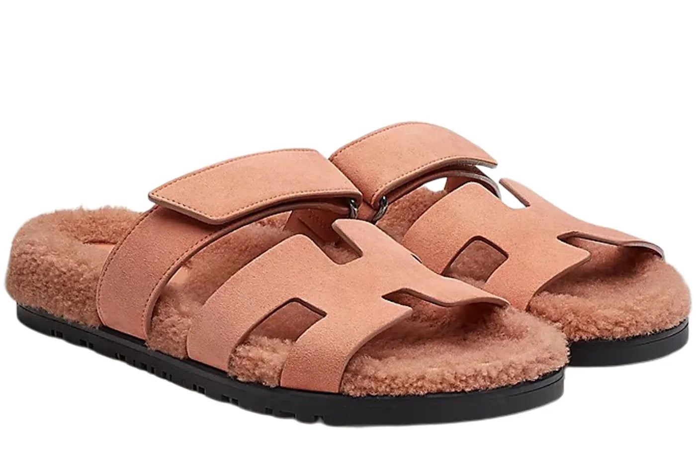 Alt text for the image.