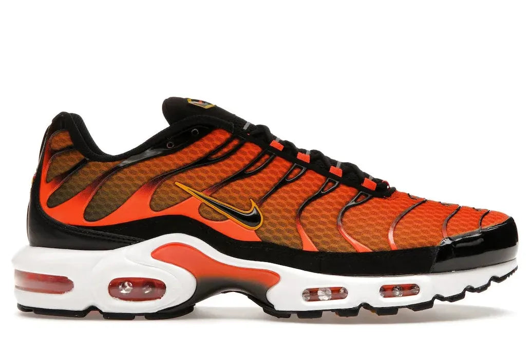 Alt text for the image.