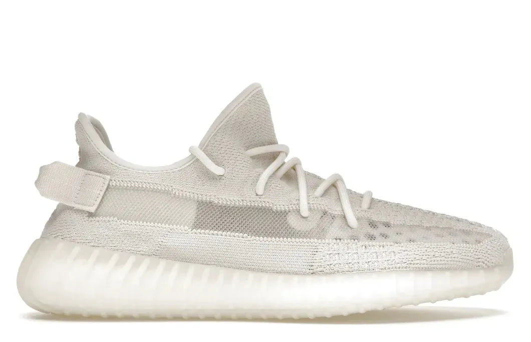 Alt text for the image.