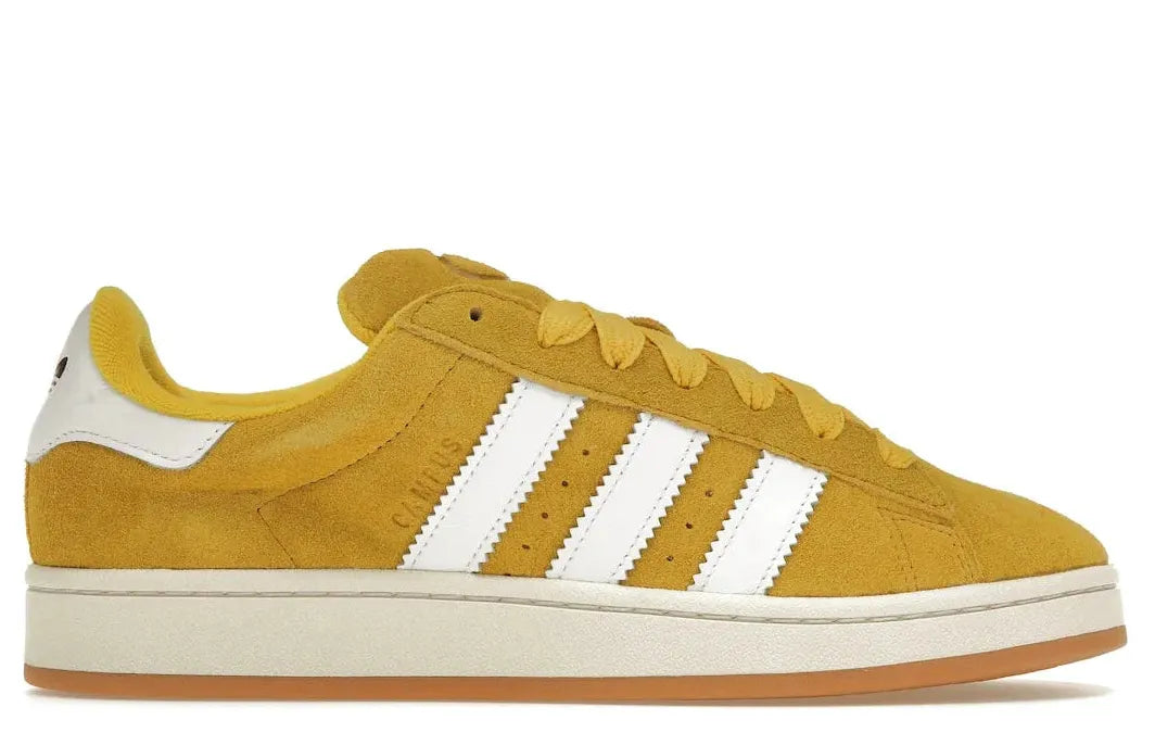 Alt text for the image.