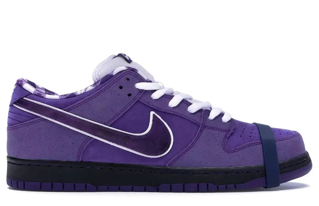 Alt text for the image.