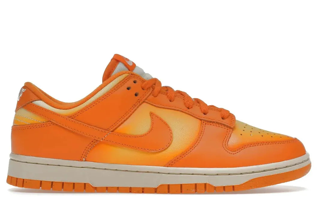 Alt text for the image.