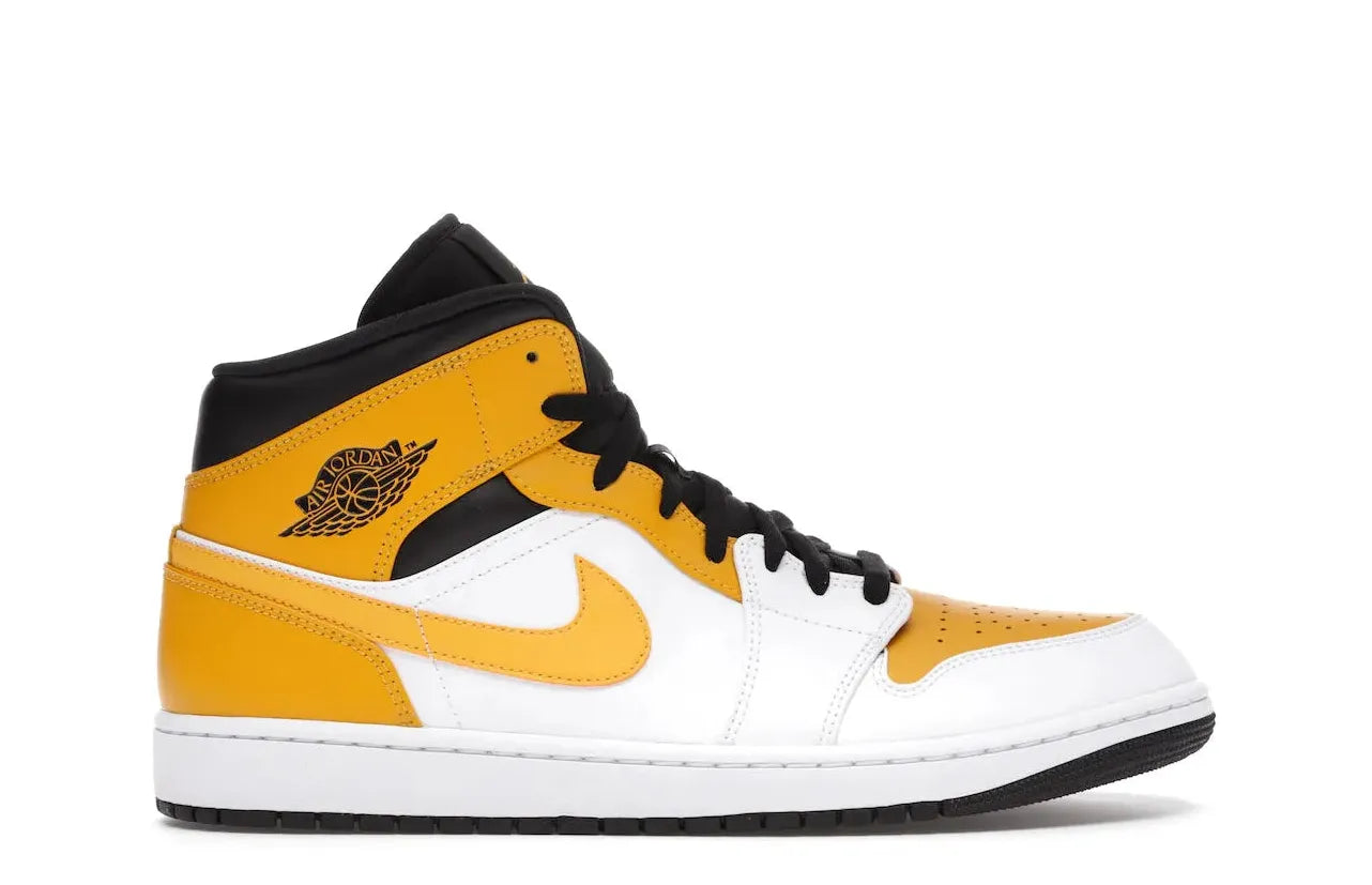 Alt text for the image.