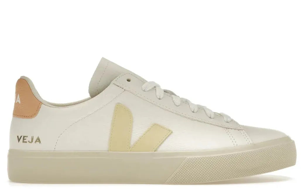 Alt text for the image.