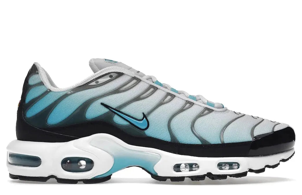 Alt text for the image.