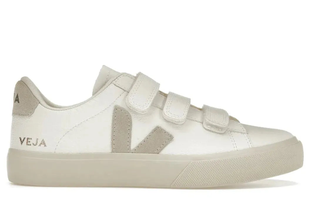 Alt text for the image.