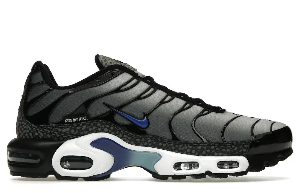 Alt text for the image.