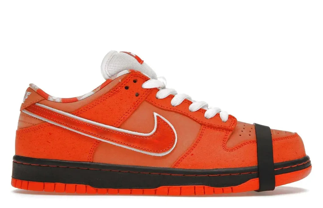 Alt text for the image.