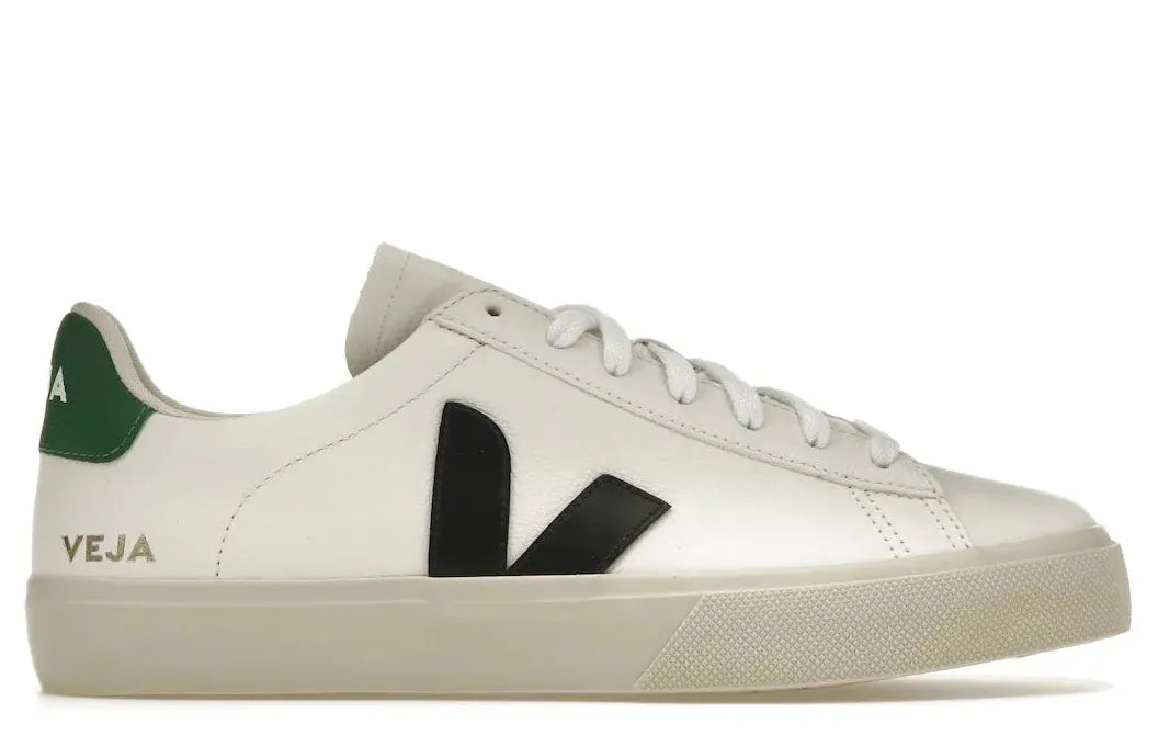 Alt text for the image.