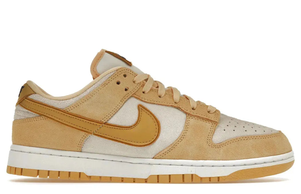 Alt text for the image.