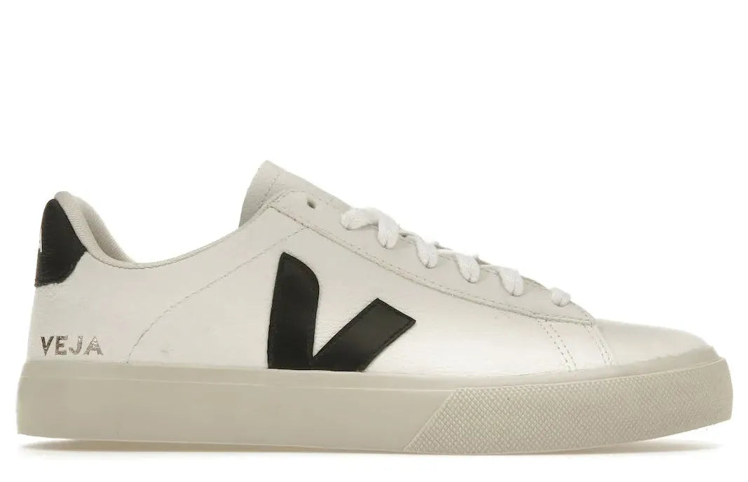 Alt text for the image.