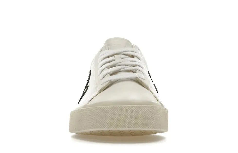 Alt text for the image.