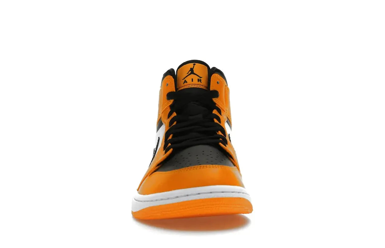 Alt text for the image.