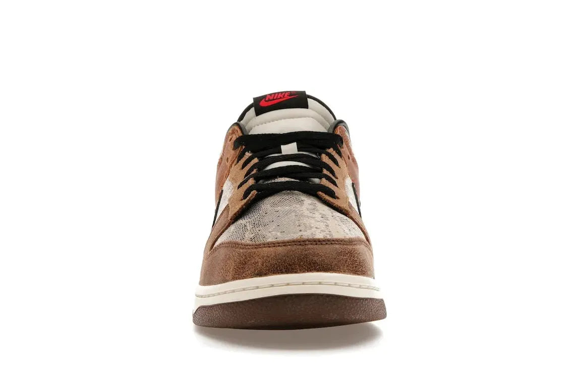 Alt text for the image.