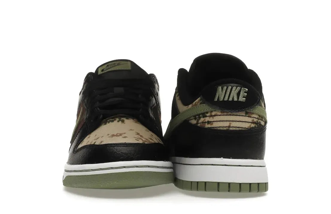 Alt text for the image.