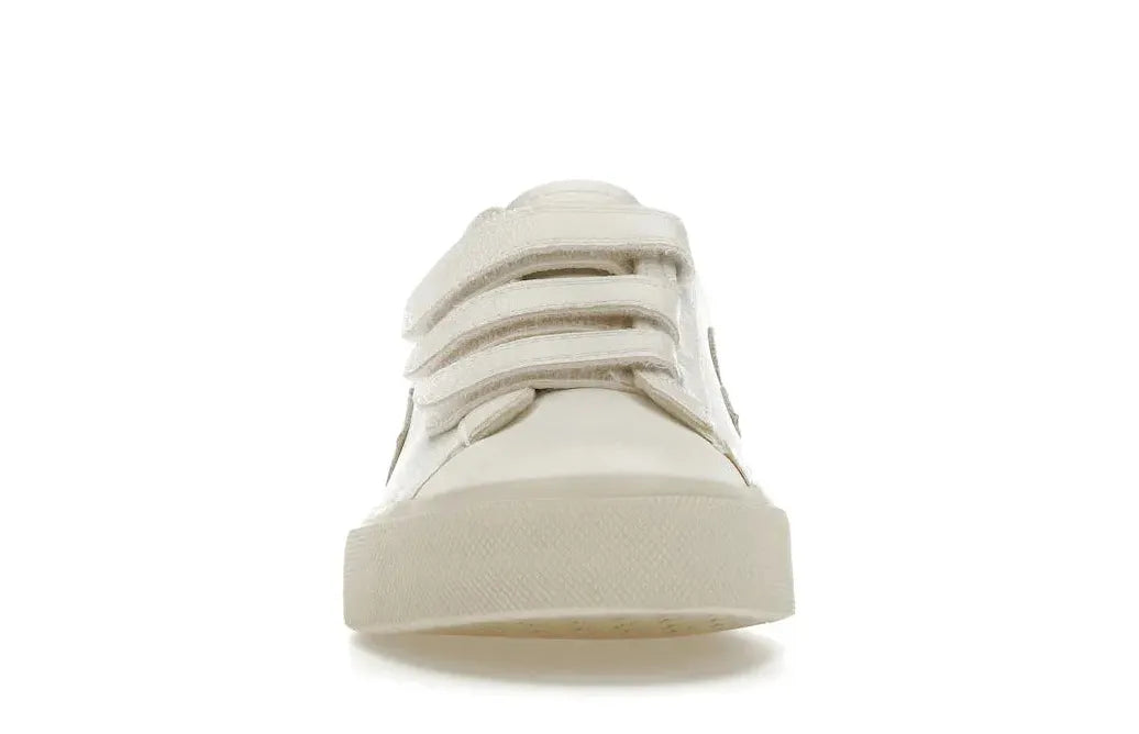 Alt text for the image.