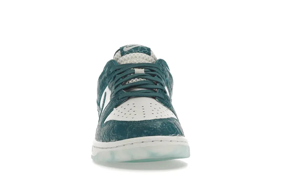 Alt text for the image.