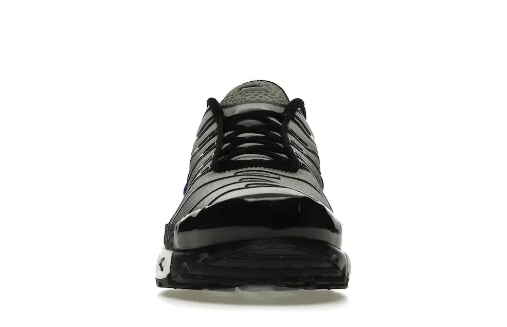 Alt text for the image.