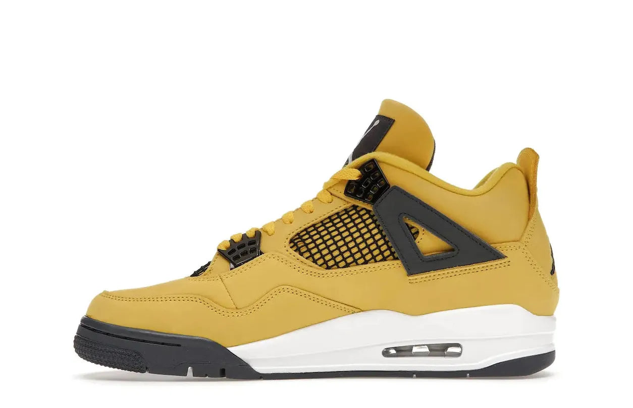 Alt text for the image.