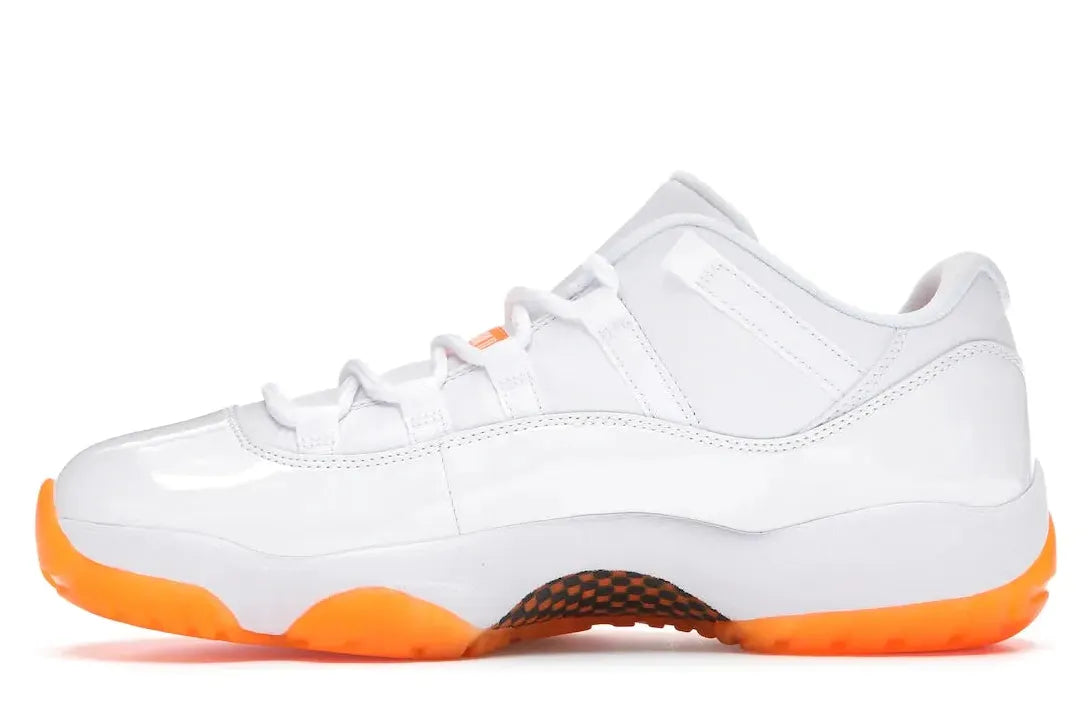 Alt text for the image.