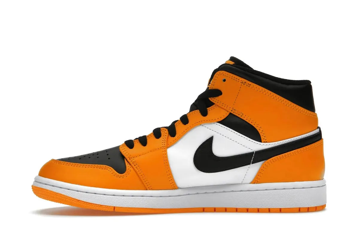 Alt text for the image.