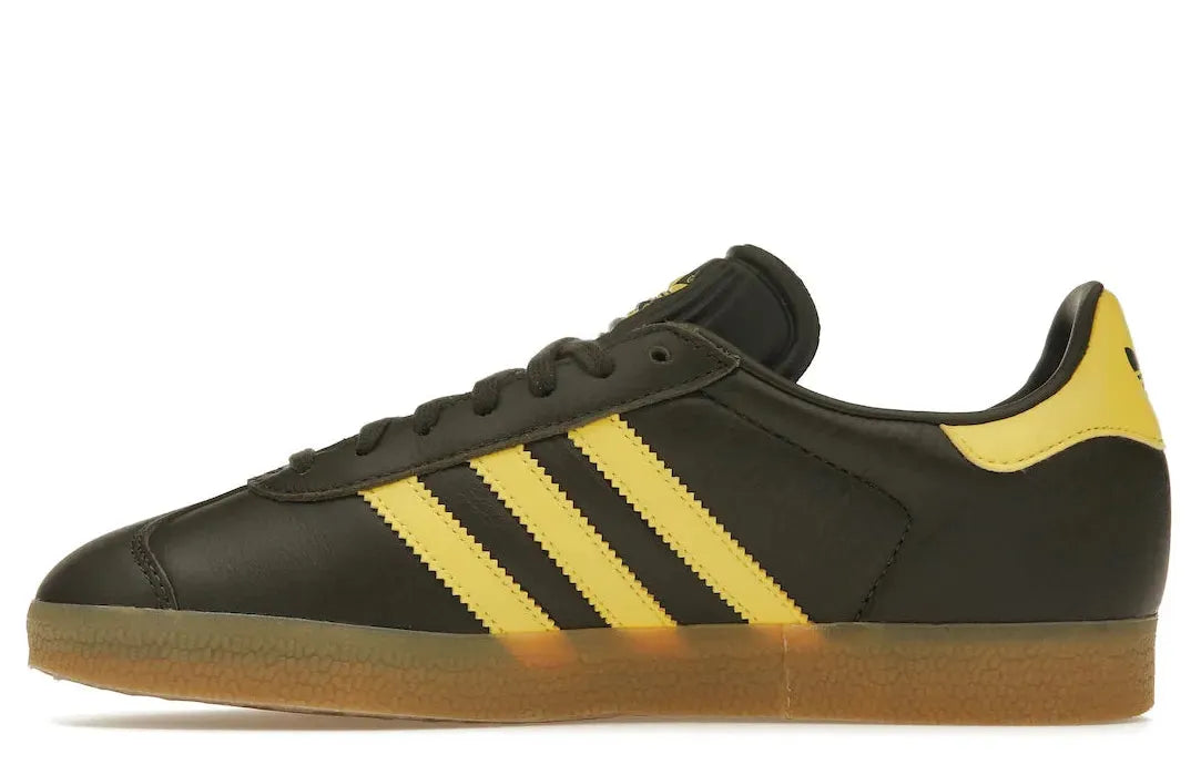 Alt text for the image.