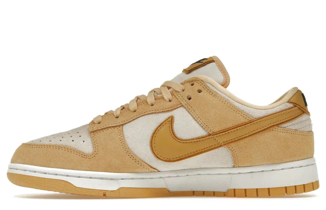 Alt text for the image.