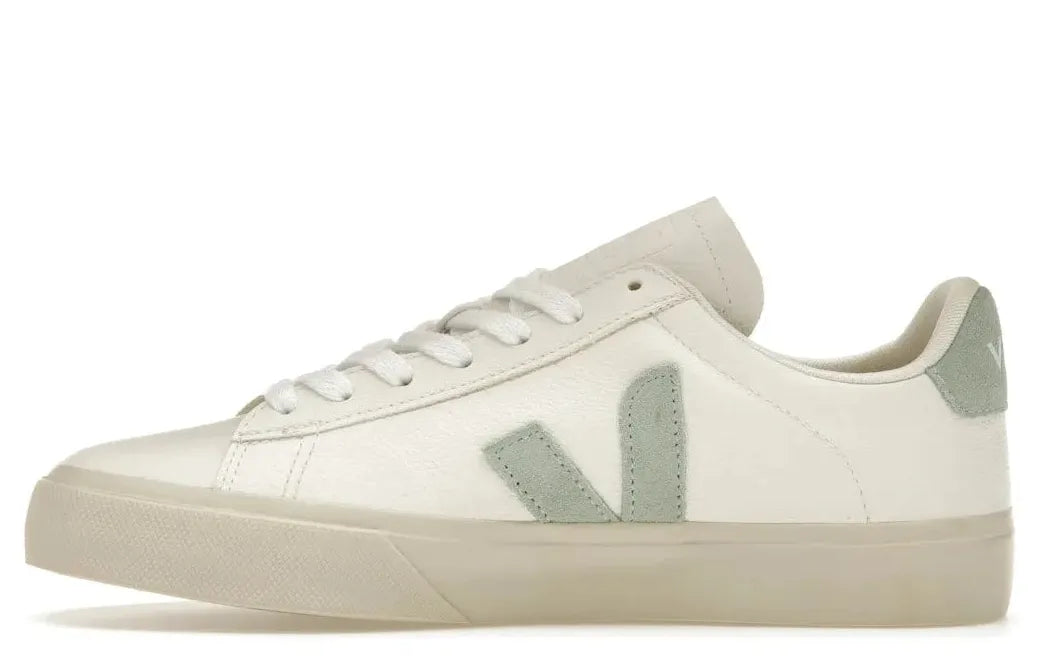 Alt text for the image.