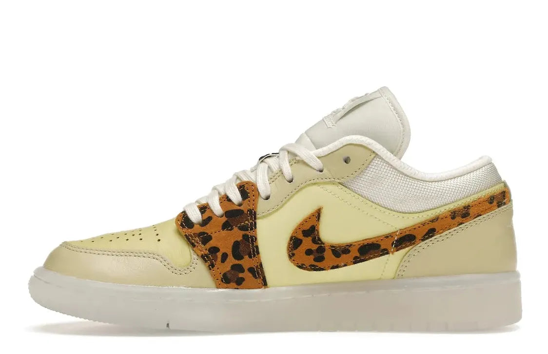 Alt text for the image.