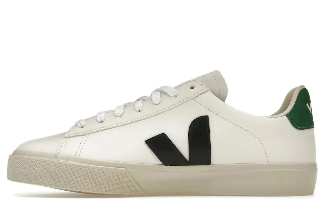 Alt text for the image.