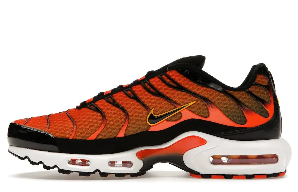 Alt text for the image.