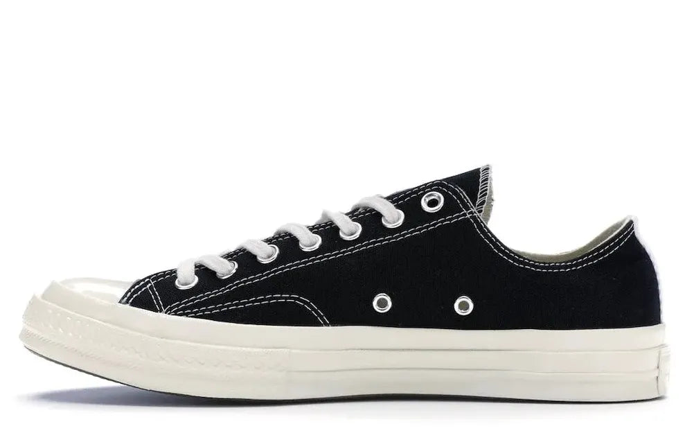 Alt text for the image.